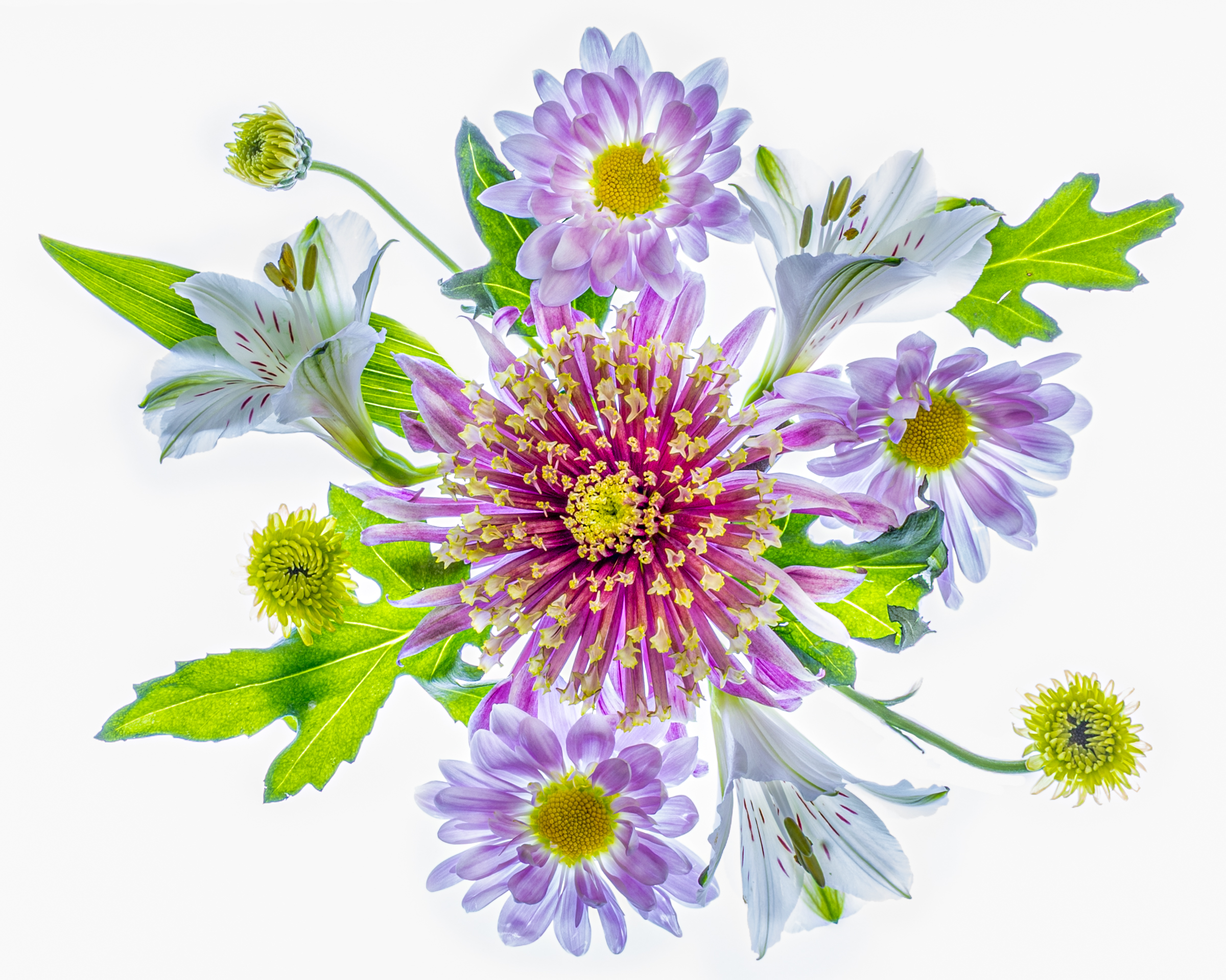 3rd PrizeOpen Color In Class 3 By Warren Bouton For Flowers A La Harold Davis APR-2026.jpg